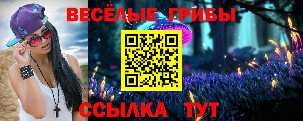 Долгопрудный  Псилоцибиновые грибы Cubensis  Вход с VPN 